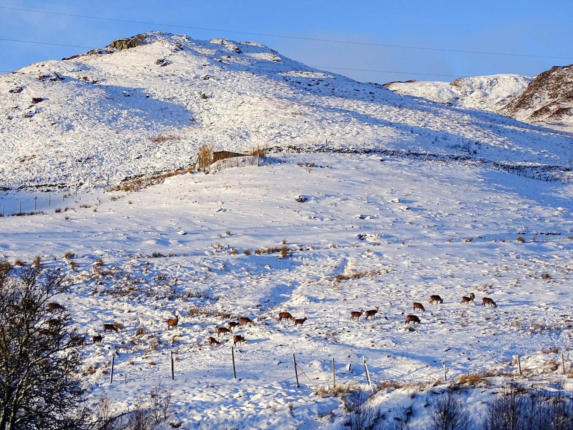 Glengoulandie Lodge 외부 사진